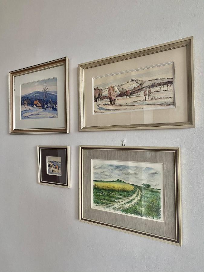Prazdninovy Dum Holubka Villa Nove Mesto na Morave Buitenkant foto